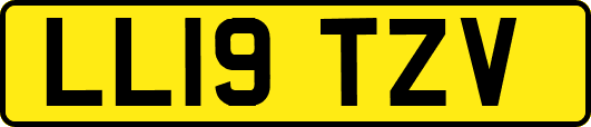 LL19TZV