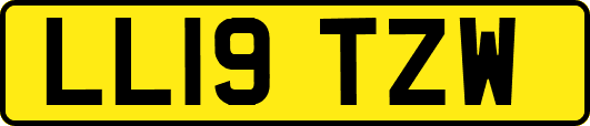 LL19TZW