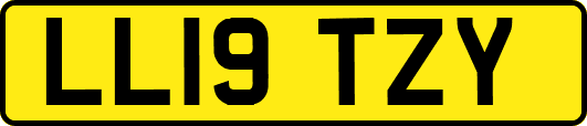 LL19TZY