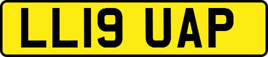 LL19UAP