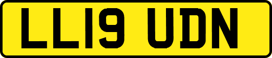 LL19UDN