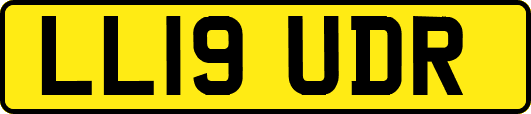 LL19UDR