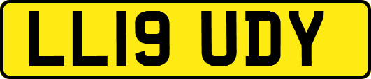LL19UDY