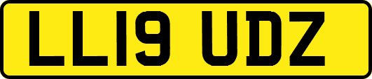 LL19UDZ