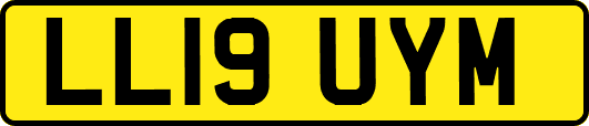 LL19UYM