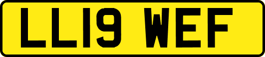 LL19WEF