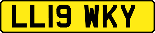 LL19WKY
