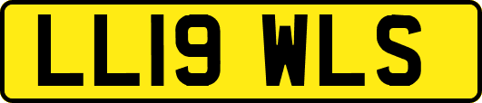 LL19WLS