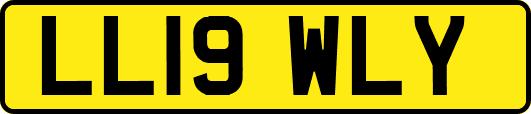 LL19WLY