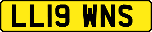LL19WNS