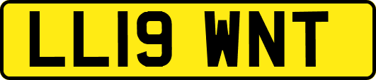 LL19WNT