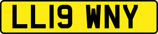 LL19WNY