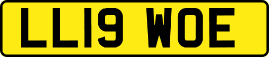 LL19WOE