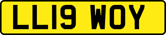 LL19WOY