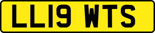 LL19WTS