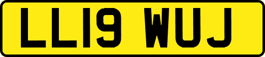 LL19WUJ