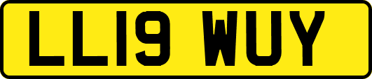 LL19WUY