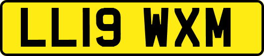 LL19WXM