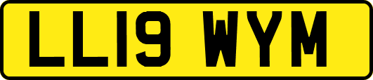 LL19WYM