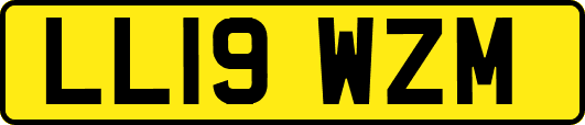 LL19WZM