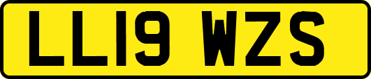 LL19WZS