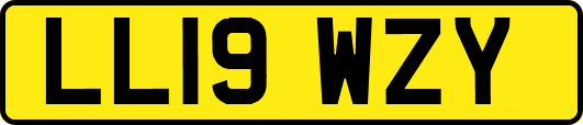 LL19WZY