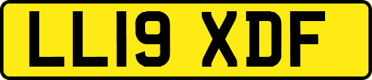 LL19XDF