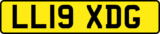 LL19XDG