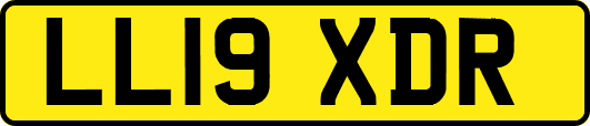 LL19XDR