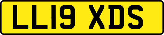 LL19XDS