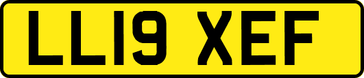 LL19XEF