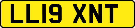 LL19XNT
