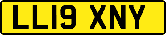 LL19XNY
