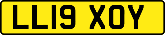 LL19XOY