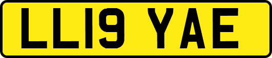 LL19YAE