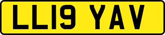 LL19YAV