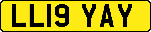 LL19YAY