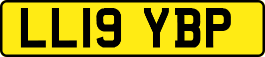 LL19YBP