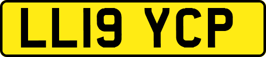 LL19YCP