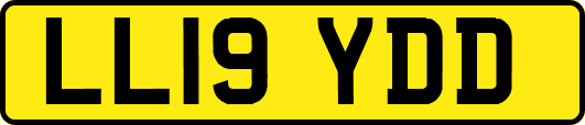LL19YDD