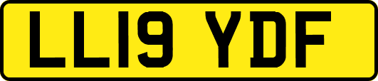 LL19YDF