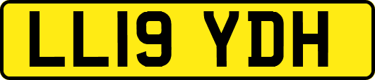 LL19YDH