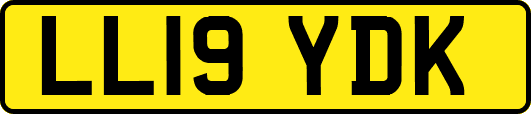 LL19YDK