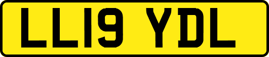 LL19YDL
