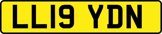 LL19YDN