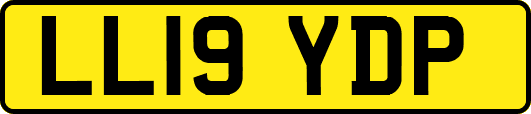 LL19YDP