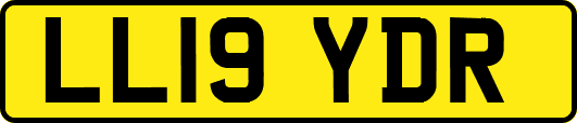LL19YDR