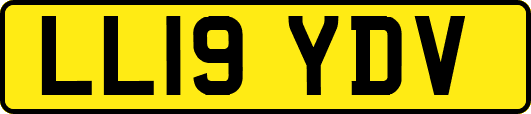 LL19YDV