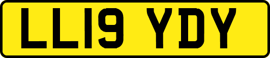 LL19YDY