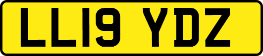 LL19YDZ